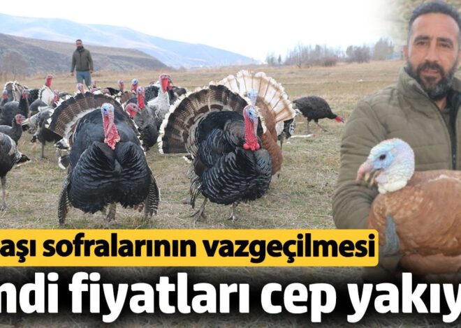 Hindi fiyatları dudak uçuklattı! Yılbaşı sofralarının vazgeçilmesi